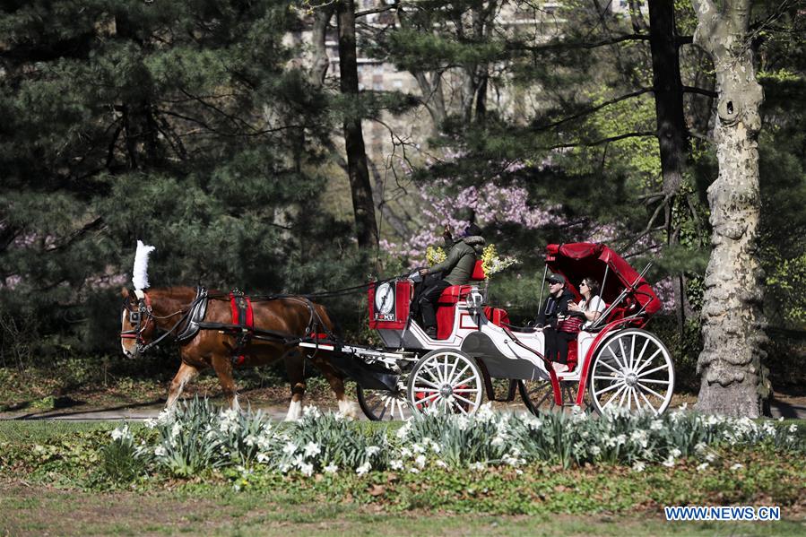 U.S.-NEW YORK-CENTRAL PARK