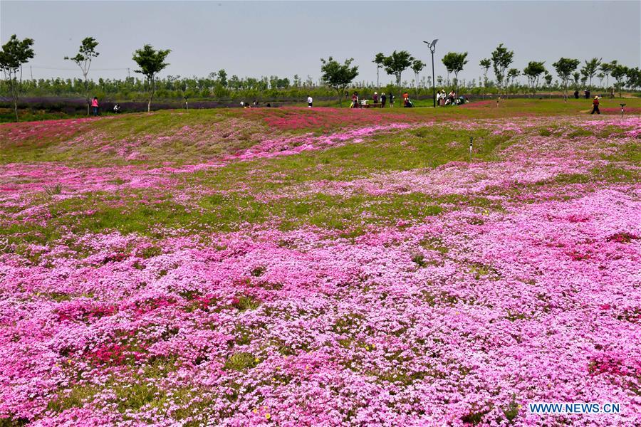 CHINA-SHANDONG-ANQIU-CULTURAL CREATIVITY INDUSTRIAL PARK (CN)