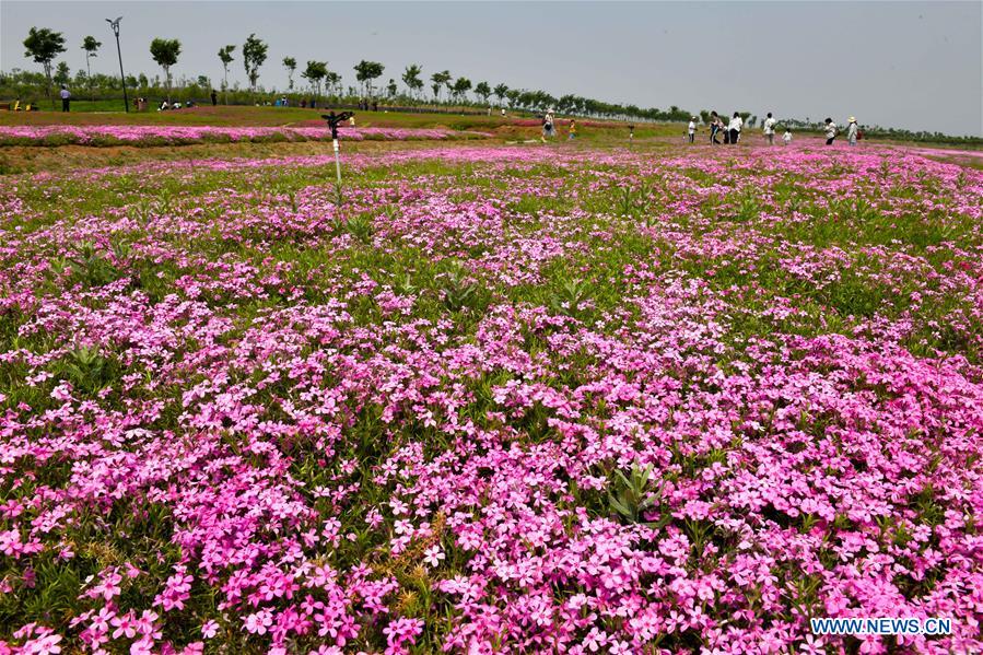 CHINA-SHANDONG-ANQIU-CULTURAL CREATIVITY INDUSTRIAL PARK (CN)