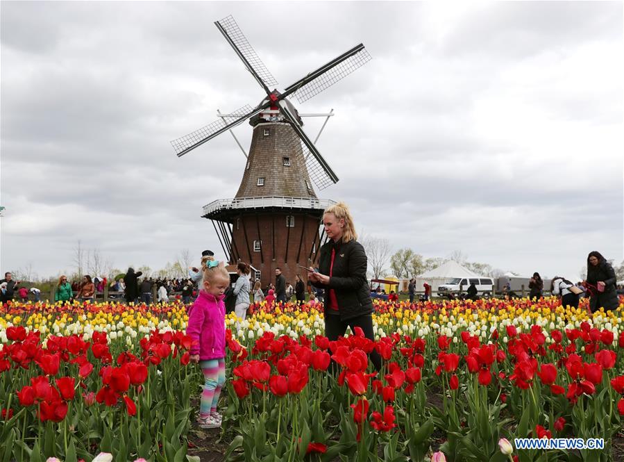 U.S.-MICHIGAN- HOLLAND-TULIP TIME FESTIVAL