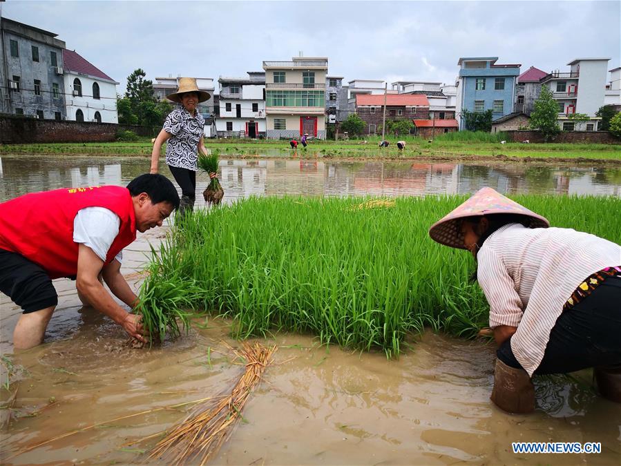 CHINA-JIANGXI-YONGXIN-FLOOD (CN)