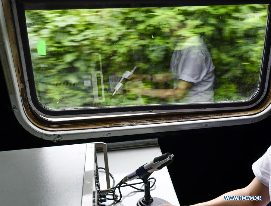 CHINA-CHONGQING-RAILWAY-GREEN TRAIN (CN)