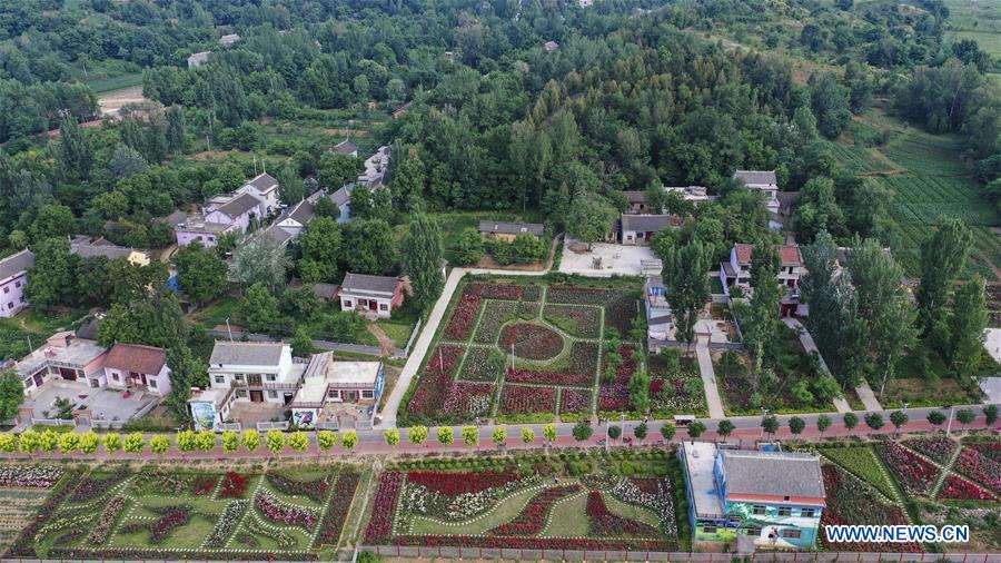 CHINA-SHAANXI-LUONAN-ROSE GARDEN (CN)