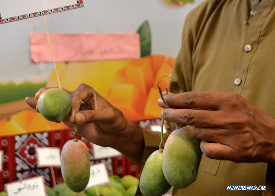 PAKISTAN-HYDERABAD-MANGO-FESTIVAL