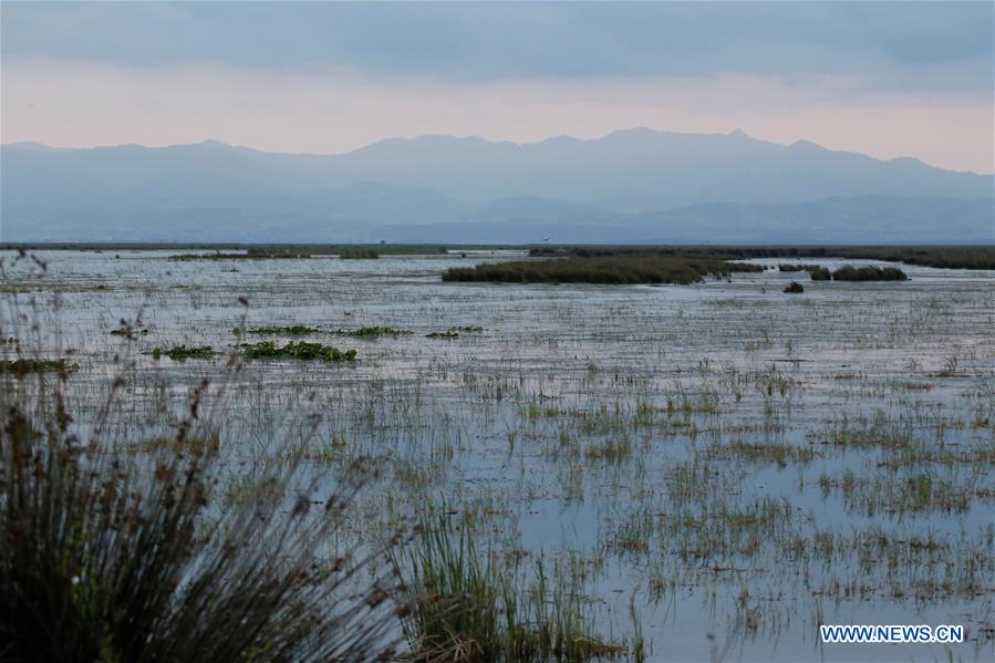 TURKEY-SAMSUN-KIZILIRMAK DELTA-SCENERY (CN)