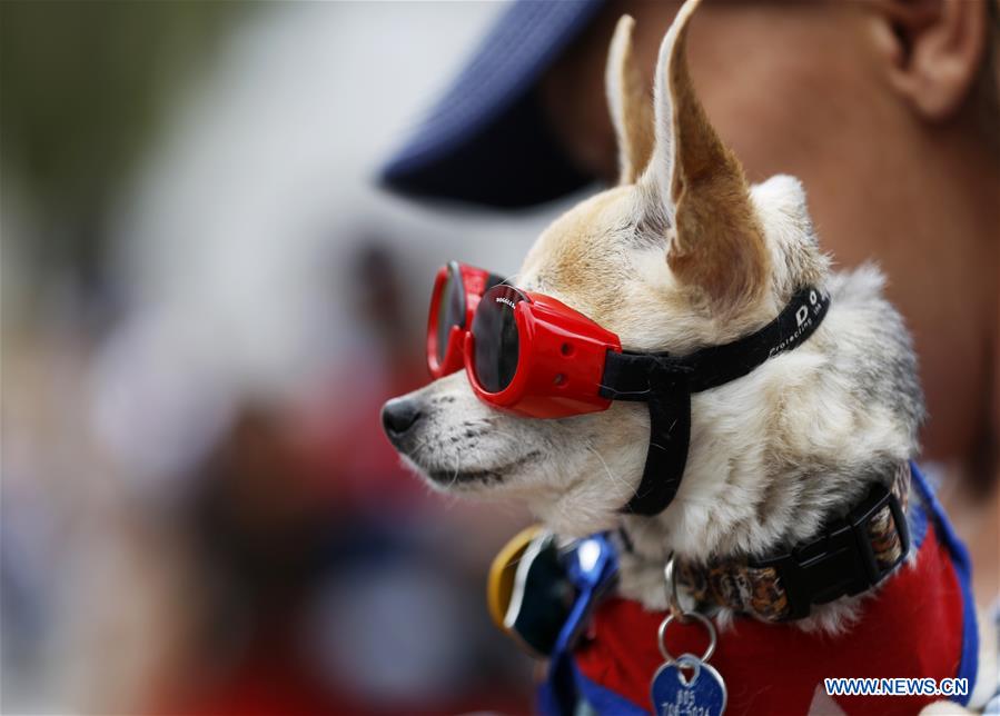 U.S.-SANTA BARBARA-INDEPENDENCE DAY-PARADE