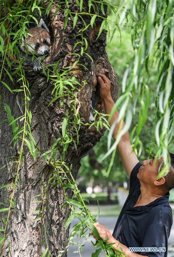 CHINA-JILIN-CHANGCHUN-TREE BARK CARVING AND PAINTING (CN)