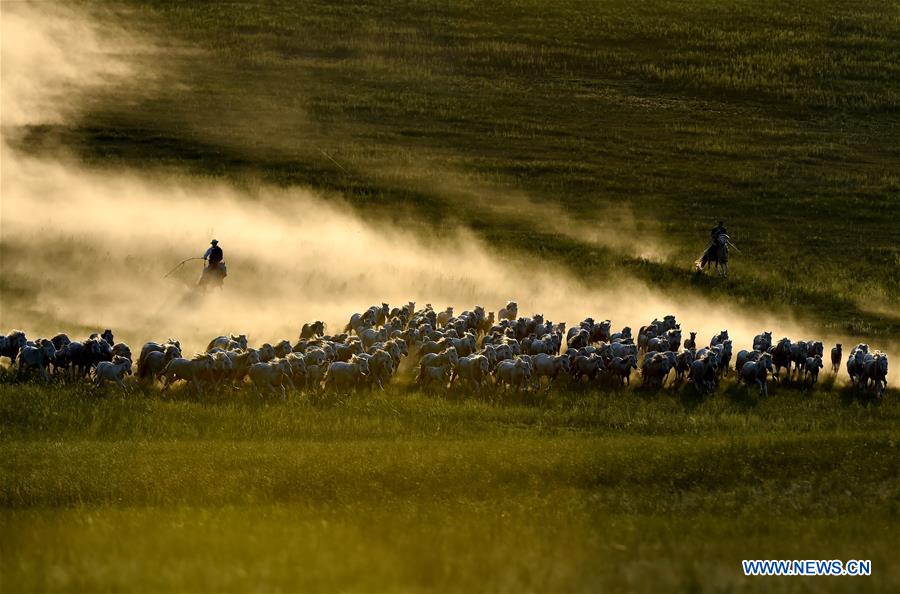 CHINA-INNER MONGOLIA-HORSE LASSOING (CN)