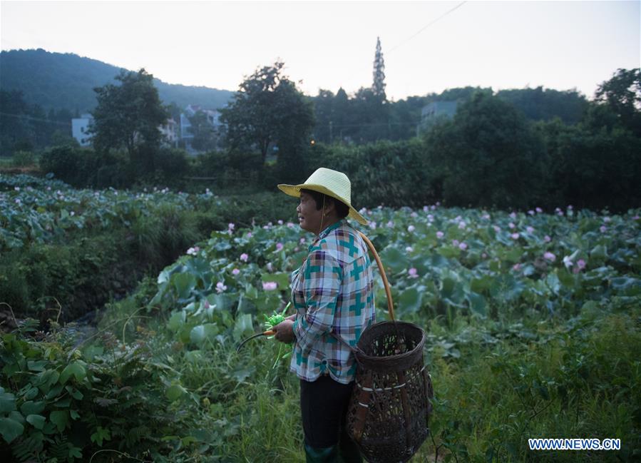 CHINA-ZHEJIANG-JIANDE-LOTUS-ECONOMY (CN)