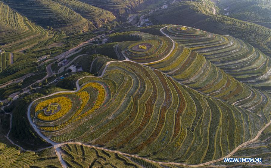 CHINA-NINGXIA-TERRACED FIELD (CN)