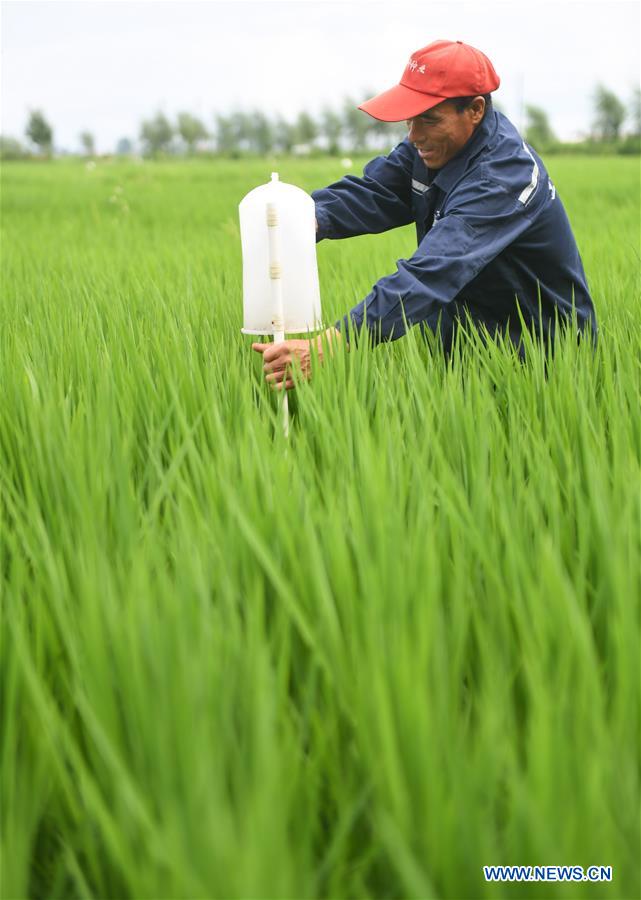 CHINA-JILIN-HUINAN-GREEN AND ORGANIC AGRICULTURE (CN)