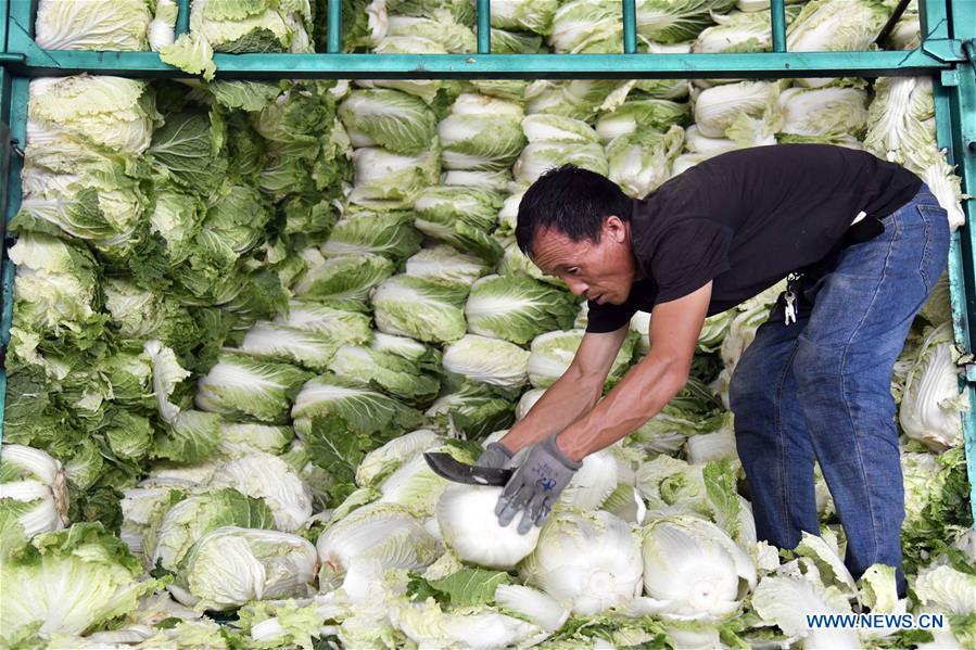 CHINA-SHANDONG-SHOUGUANG-VEGETABLE-SUPPLY (CN)