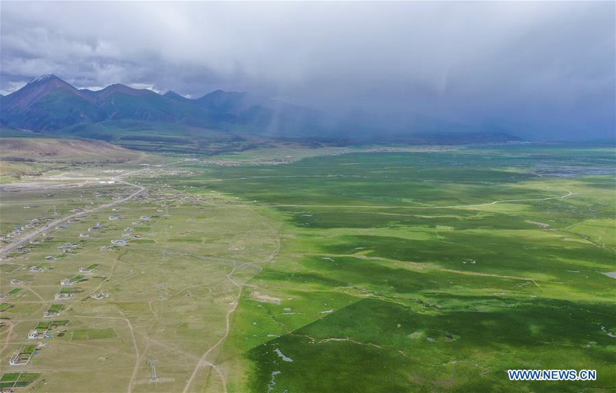 CHINA-TIBET-DAMXUNG-PASTURE (CN)