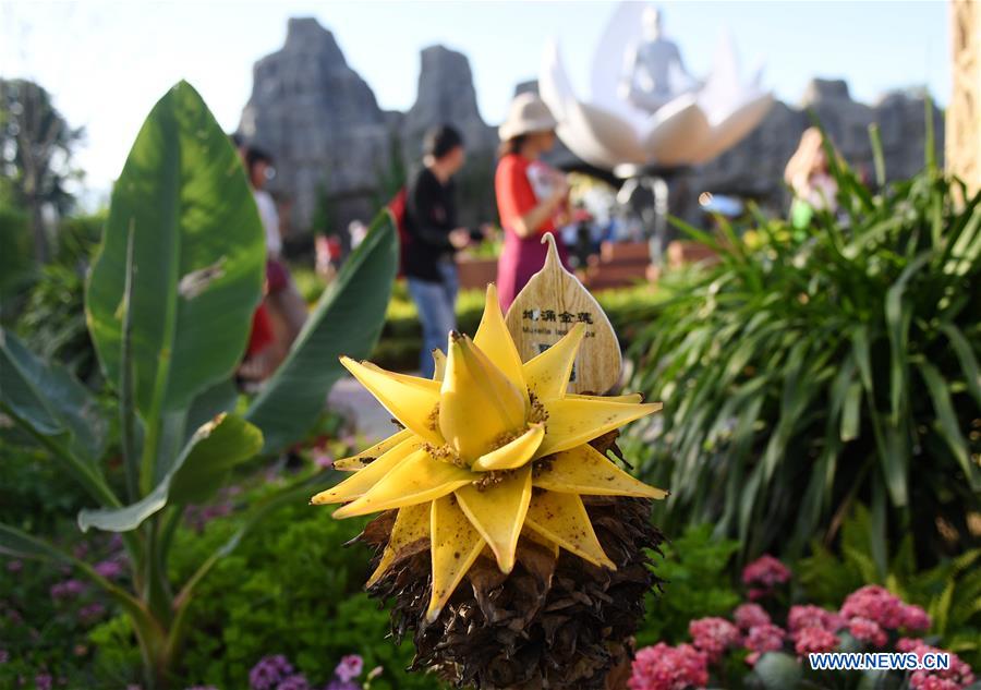 CHINA-BEIJING-HORTICULTURAL EXPO-INDIA DAY (CN)