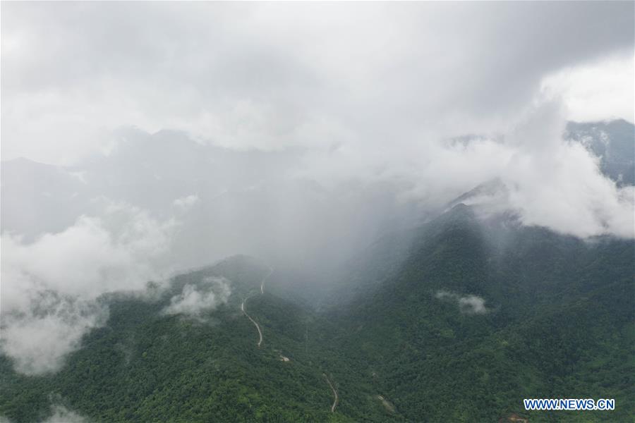 CHINA-GUANGXI-SHIWAN MOUNTAIN NATURE RESERVE-SCENERY(CN)