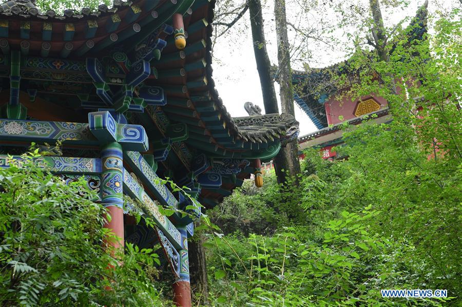 CHINA-GANSU-YUZHONG-NATURE RESERVE-SCENERY (CN)