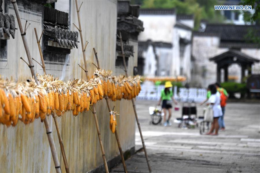 CHINA-ANHUI-HUANGSHAN-AIRING CORNS (CN)