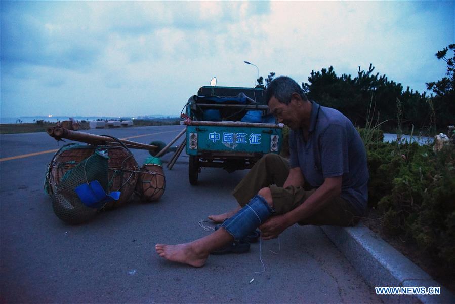 CHINA-SHANDONG-RIZHAO-SHRIMP HARVEST (CN)