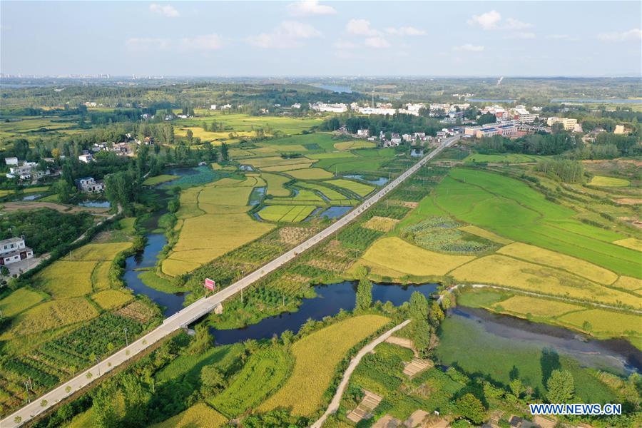 CHINA-HENAN-XINYANG-GREEN DEVELOPMENT (CN)