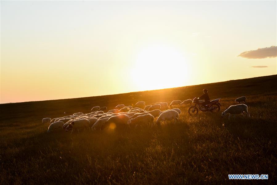 CHINA-INNER MONGOLIA-GRASSLAND-SCENERY (CN)