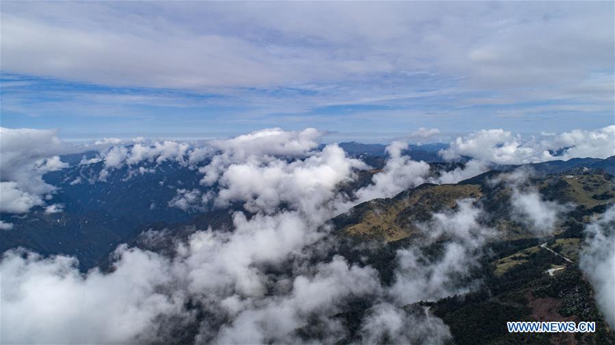 CHINA-HUBEI-SHENNONGJIA-SEA OF CLOUDS(CN)