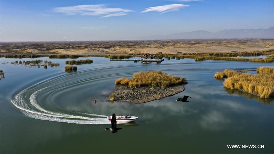 CHINA-NINGXIA-SHAHU LAKE-SCENERY (CN)