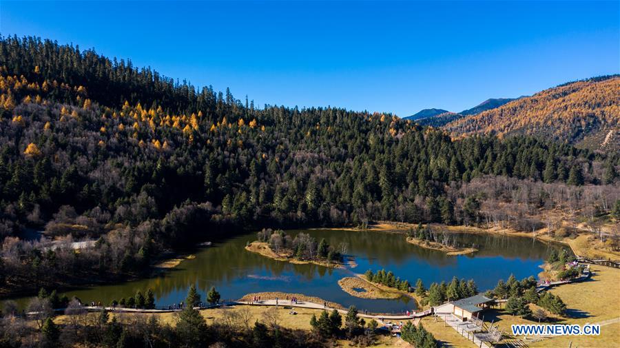 CHINA-YUNNAN-SHANGRI-LA-POTATSO NATIONAL PARK-AUTUMN SCENERY (CN)