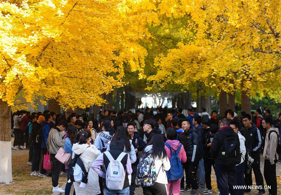 CHINA-BEIJING-UNIVERSITY OF SCIENCE AND TECHNOLOGY BEIJING-AUTUMN SCENERY (CN)