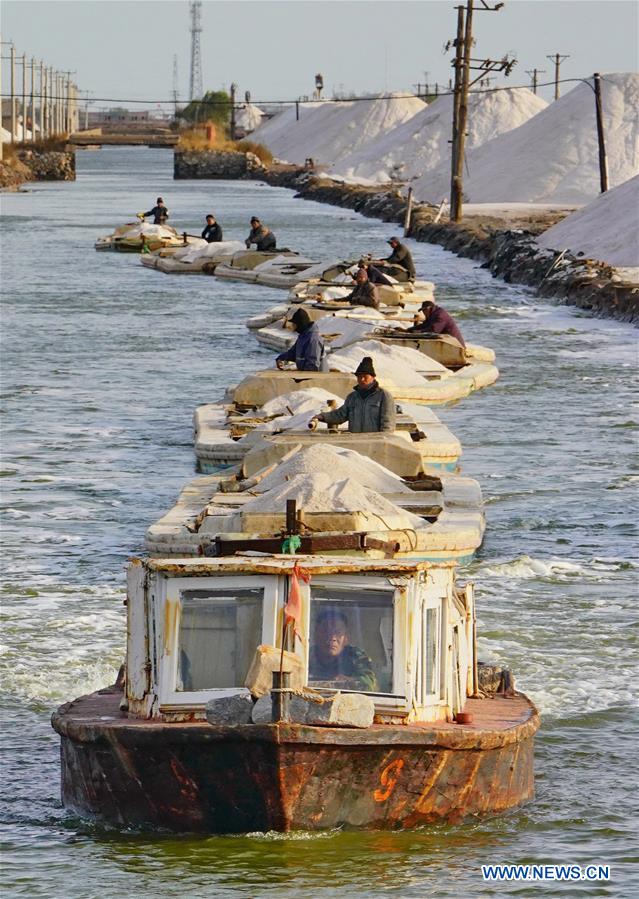 CHINA-HEBEI-CAOFEIDIAN-SALT PAN-AUTUMN-HARVEST (CN)