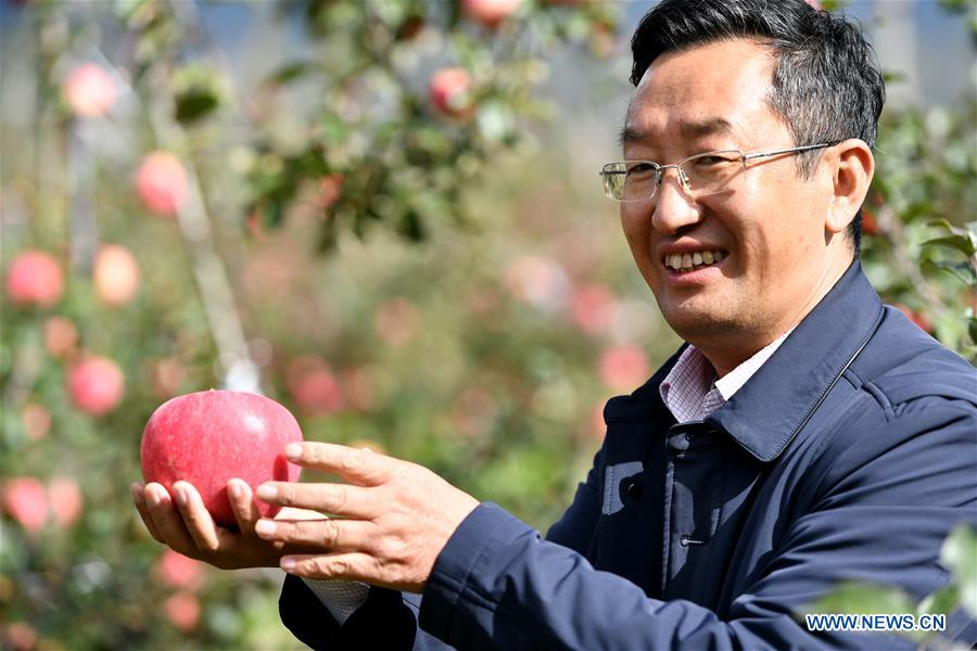 (InTibet) CHINA-TIBET-NYINGCHI-APPLE CULTIVATION PROFESSOR (CN) 