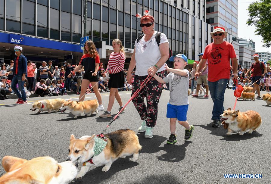 NEW ZEALAND-WELLINGTON-CHRISTMAS PARADE