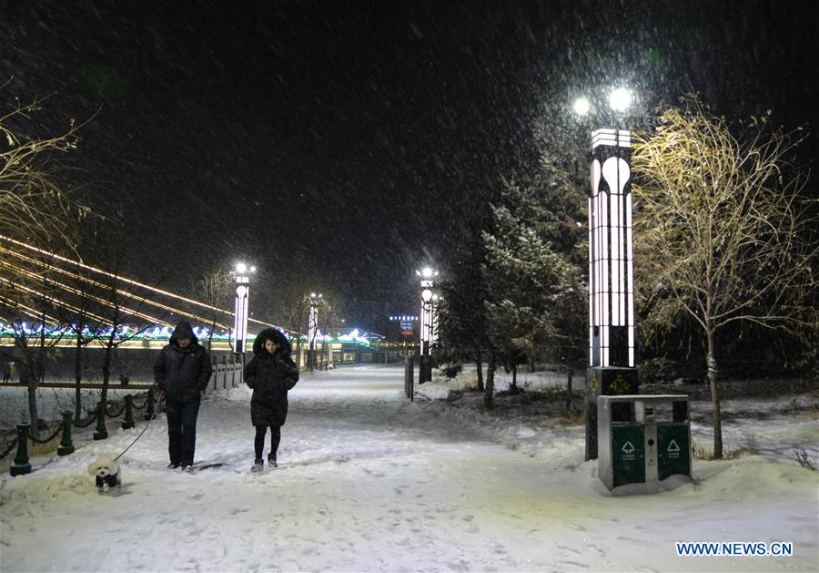 CHINA-INNER MONGOLIA-MORIN DAWA-SNOWFALL (CN)