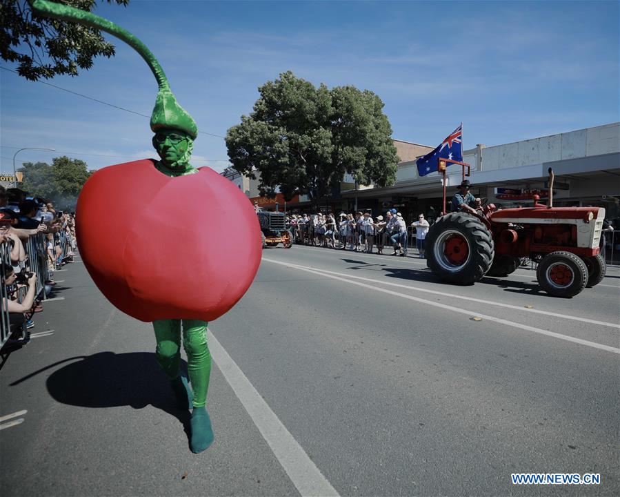 AUSTRALIA-YOUNG-NATIONAL CHERRY FESTIVAL