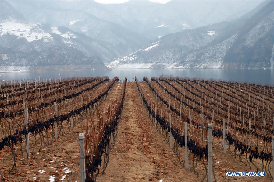 CHINA-JILIN-ICE WINE FESTIVAL (CN)