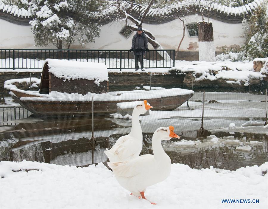 CHINA-BEIJING-SNOW SCENERY (CN)