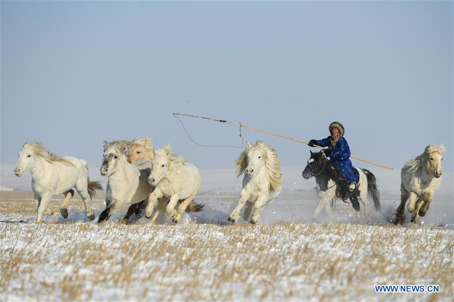 XINHUA PHOTOS OF THE DAY