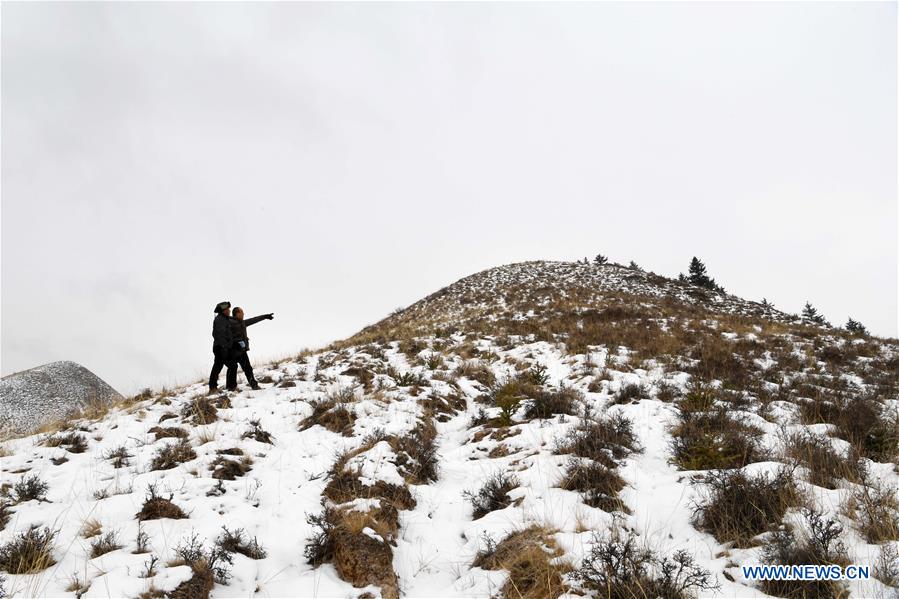 CHINA-GANSU-QILIAN MOUNTAINS-FOREST PROTECTION (CN)