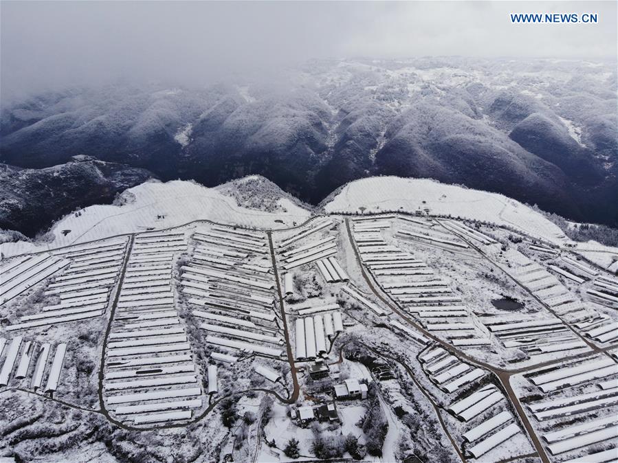 XINHUA PHOTOS OF THE DAY