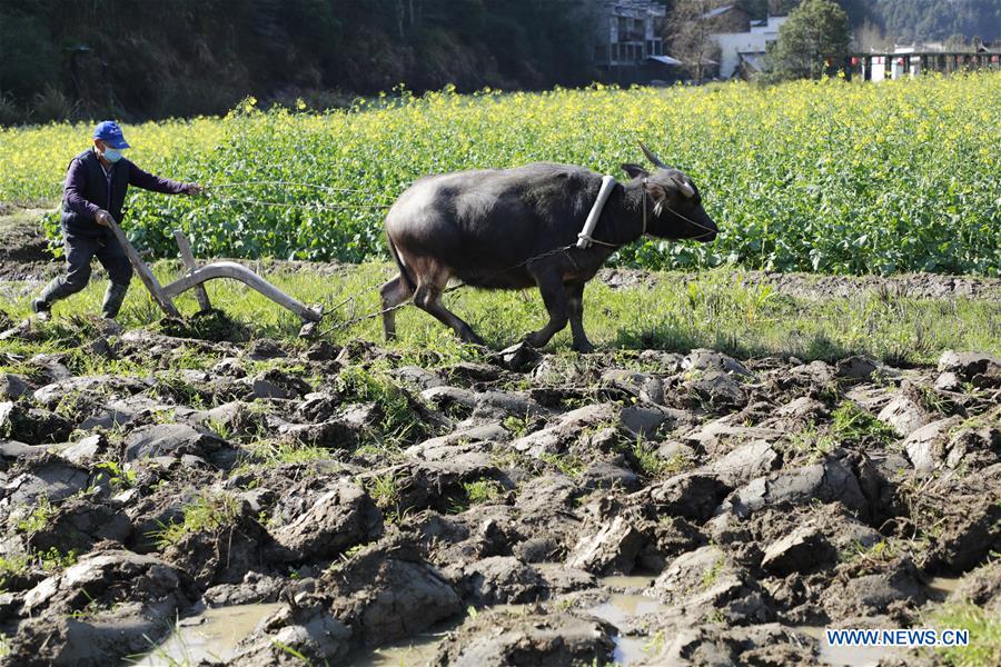 #CHINA-SPRING-FARMING (CN)