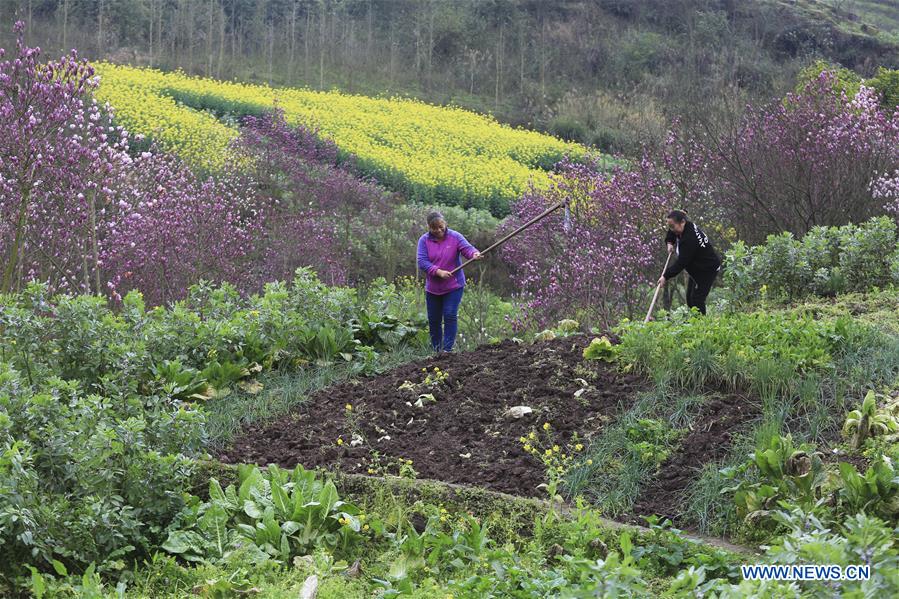 #CHINA-SPRING-FARMING (CN)