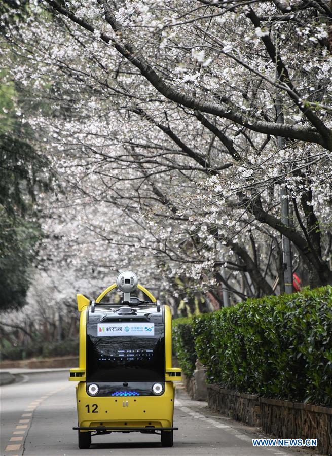 CHINA-HUBEI-WUHAN UNIVERSITY-CHERRY BLOSSOMS (CN)