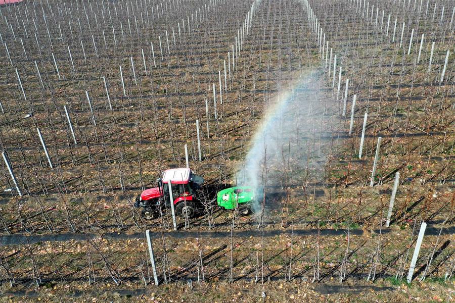 #CHINA-SPRING-FARMING (CN)