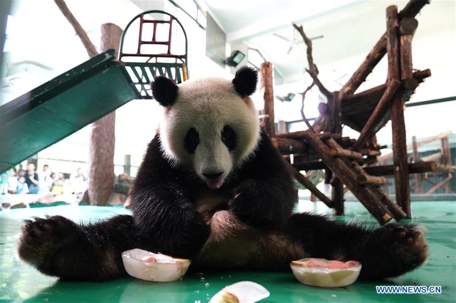 CHINA-SHANGHAI-ZOO-ANIMAL-HEAT PREVENTION (CN)