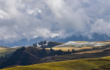 Scenery of Jiangbulake scenic spot after snowing in China's Xinjiang