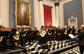 Dublin Chinese New Year Festival concludes in Ireland