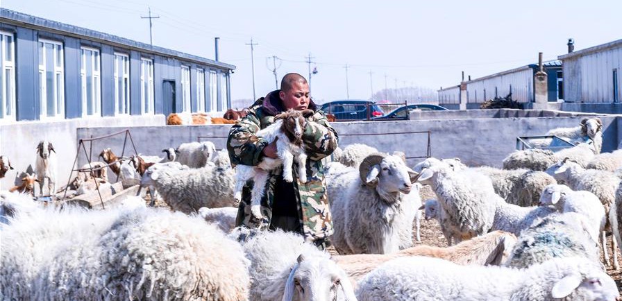 易地搬迁让村民“住得好、能致富”