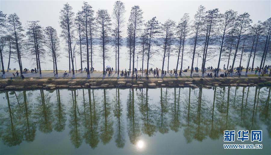 （十九大·读报告 话民生）（13）加快生态文明体制改革，建设美丽中国