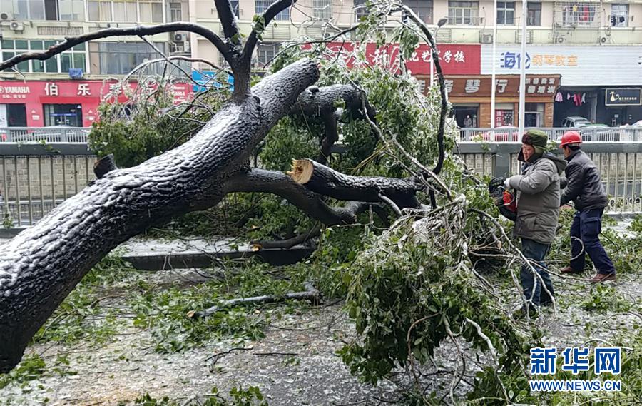 （新华全媒头条）（7）雨雪冰冻中，他们奋力前行——基层党员干群抗击冰雪灾害纪实