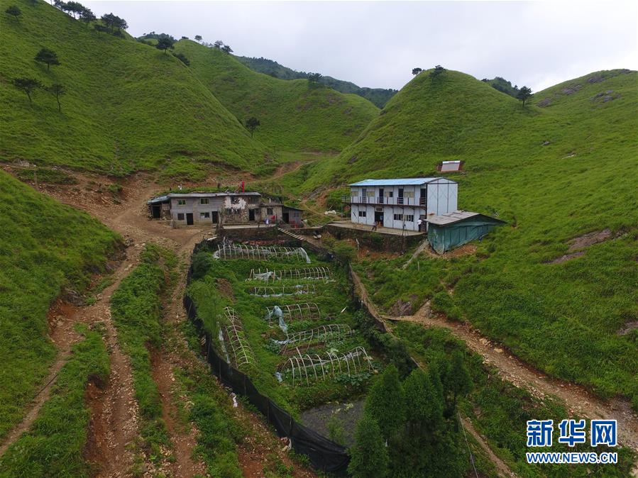 （新华全媒头条·图文互动）（3）一个人，一座山——刘真茂的生命守望