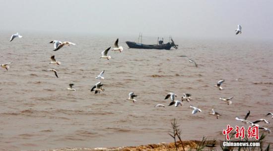 资料图：渤海湾畔。王占军 摄